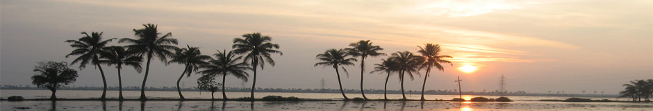 Marvelous Kerala