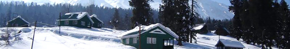 Simla Manali Tour