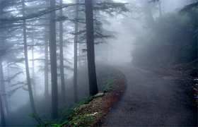 Simla Manali Chandigarh Tour